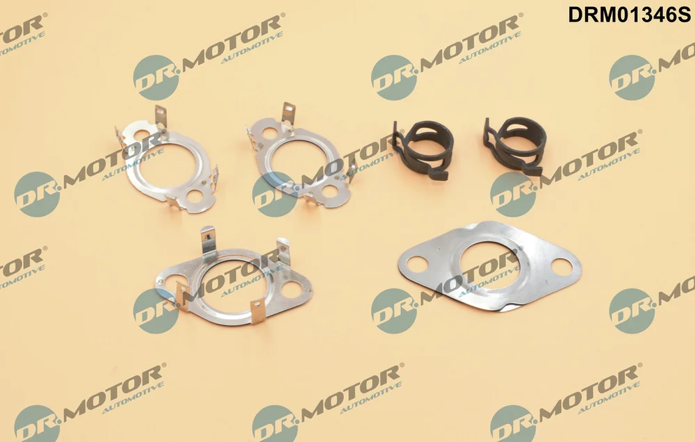 Sada těsnění, AGR systém Dr.Motor Automotive DRM01346S