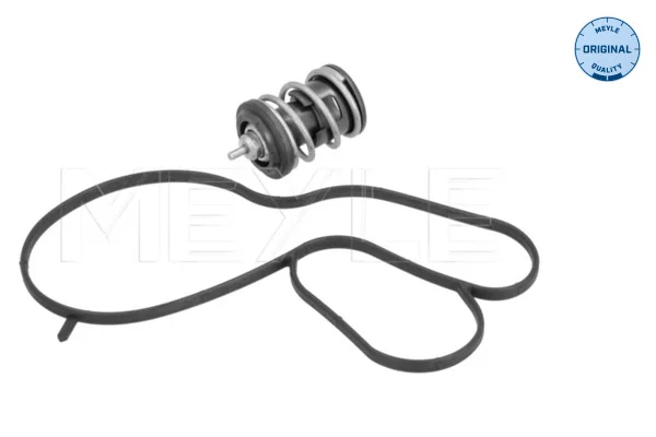Termostat, chladivo MEYLE 1282280024 – OE 04E121113F