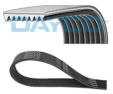 ozubený klínový řemen DAYCO 8PK1565HD