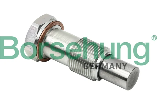 Napínák, rozvodový řetěz Borsehung B1T014 Napínák, rozvodový řetěz Borsehung B1T014
