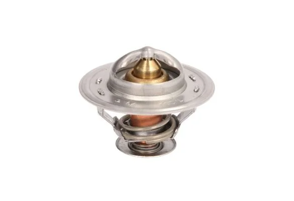Termostat, chladivo THERMOTEC D2CA004TT