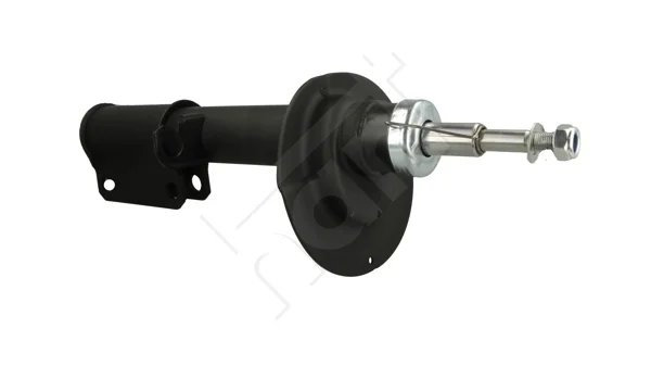 TLUMIČ/P/BMW X5 00- /P/ GAZ HART 802615
